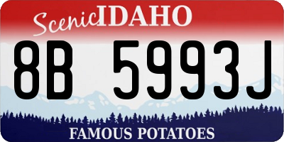 ID license plate 8B5993J