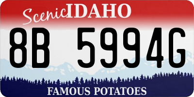 ID license plate 8B5994G