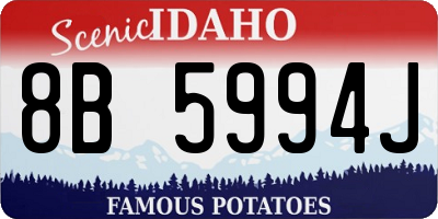 ID license plate 8B5994J
