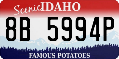ID license plate 8B5994P