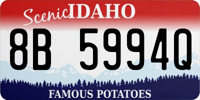 ID license plate 8B5994Q