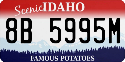 ID license plate 8B5995M