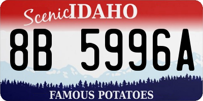 ID license plate 8B5996A