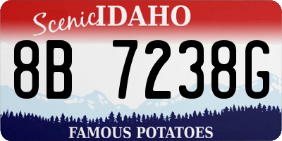 ID license plate 8B7238G