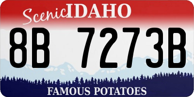 ID license plate 8B7273B