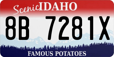 ID license plate 8B7281X