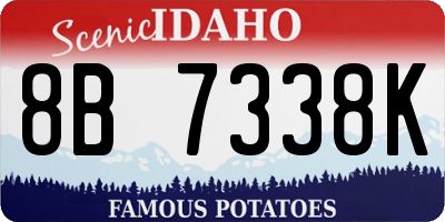 ID license plate 8B7338K