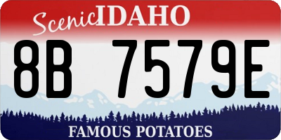 ID license plate 8B7579E