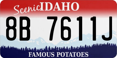 ID license plate 8B7611J