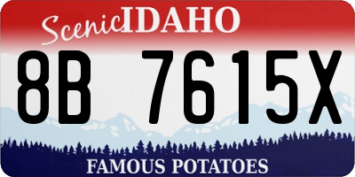 ID license plate 8B7615X