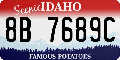 ID license plate 8B7689C