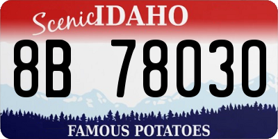 ID license plate 8B7803O