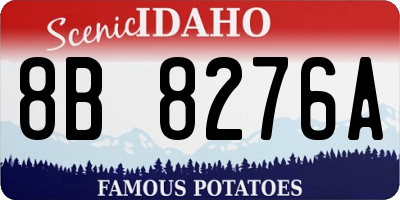 ID license plate 8B8276A