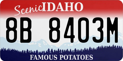 ID license plate 8B8403M