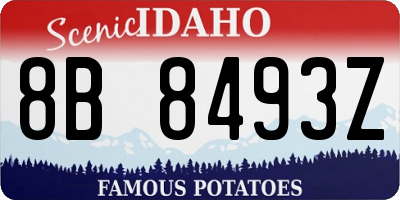 ID license plate 8B8493Z