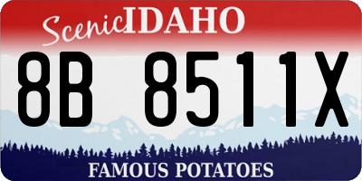 ID license plate 8B8511X