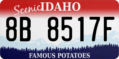 ID license plate 8B8517F