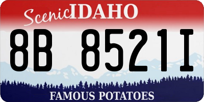 ID license plate 8B8521I