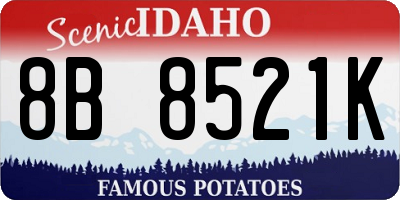 ID license plate 8B8521K