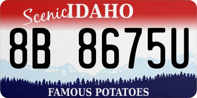 ID license plate 8B8675U