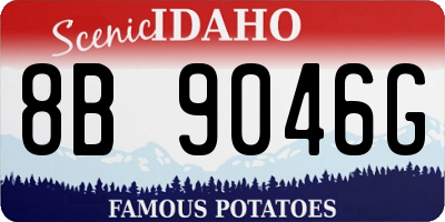 ID license plate 8B9046G