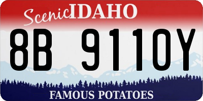 ID license plate 8B9110Y