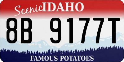 ID license plate 8B9177T