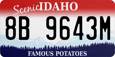 ID license plate 8B9643M