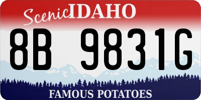 ID license plate 8B9831G