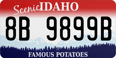 ID license plate 8B9899B