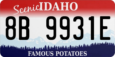 ID license plate 8B9931E
