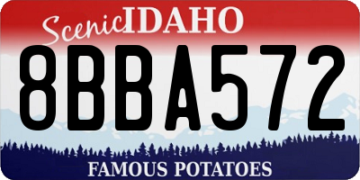 ID license plate 8BBA572