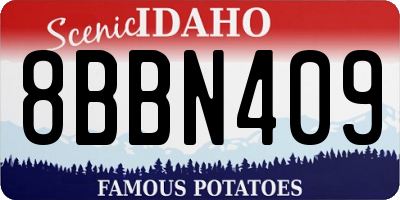 ID license plate 8BBN409