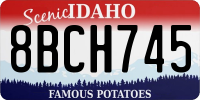 ID license plate 8BCH745