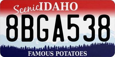 ID license plate 8BGA538