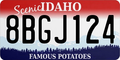 ID license plate 8BGJ124