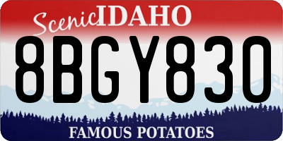 ID license plate 8BGY830