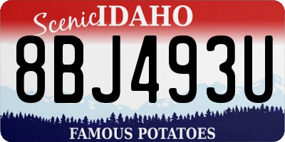 ID license plate 8BJ493U