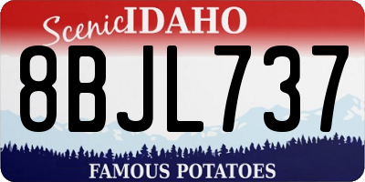 ID license plate 8BJL737