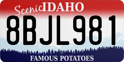 ID license plate 8BJL981