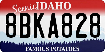 ID license plate 8BKA828