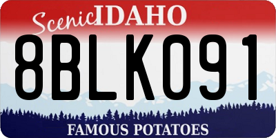 ID license plate 8BLK091