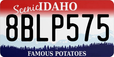 ID license plate 8BLP575