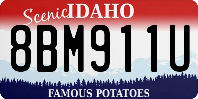 ID license plate 8BM911U