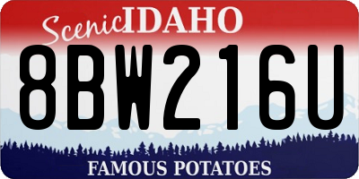 ID license plate 8BW216U