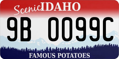ID license plate 9B0099C