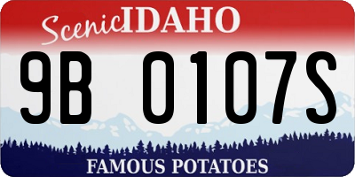 ID license plate 9B0107S