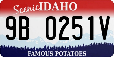ID license plate 9B0251V