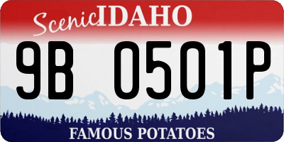 ID license plate 9B0501P