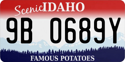 ID license plate 9B0689Y